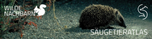 Projekt &quot;Igel gesucht&quot;