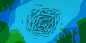 Begleitgruppe für das Programm Citizen Science Schweiz