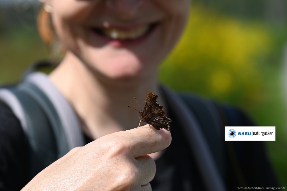 NABU|naturgucker – gemeinsam der Natur auf der Spur