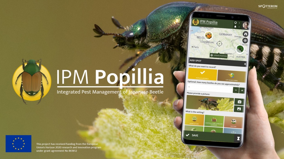 IPM Popillia