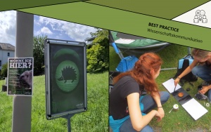 Feldforschung in der Stadt Zürich: Kommunikation &amp; Freiwillige im Projekt «Igel gesucht»