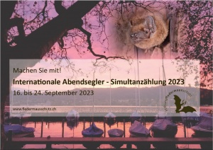 Titelblatt Flyer Abendseglerzählung
