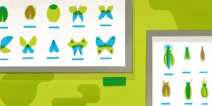 Citizen Science im Museum